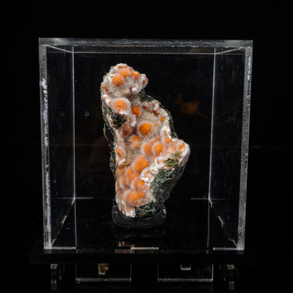 Thomsonite Orange Rare Find Free Standing Natural Mineral Specimen # B 7096