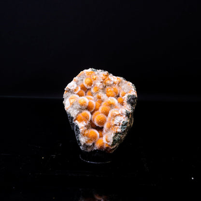 Thomsonite Orange Rare Find Natural Mineral Specimen # B 6736 Thomsonite Superb Minerals 