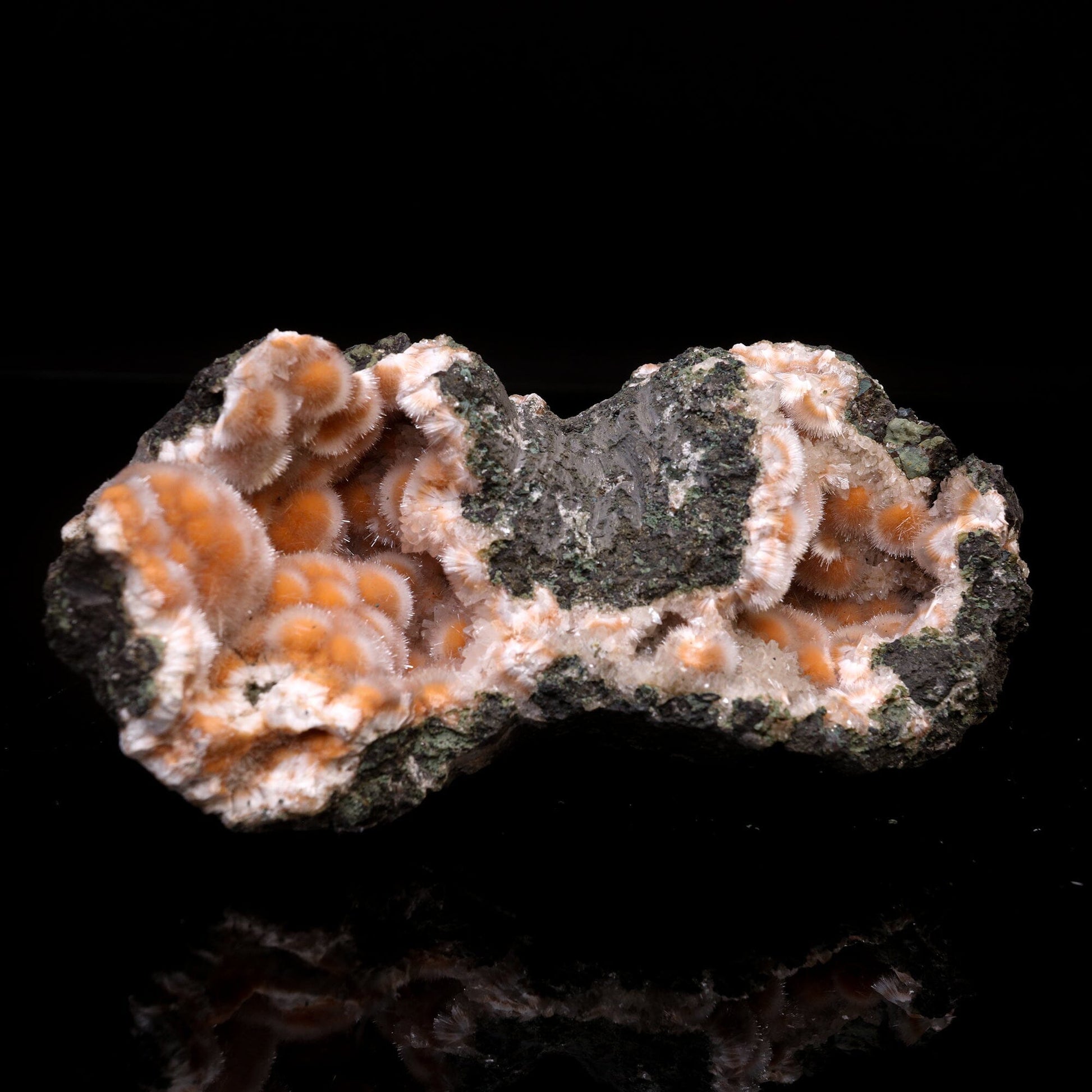 Thomsonite Orange Rare Find Natural Mineral Specimen # B 6744 Thomsonite Superb Minerals 