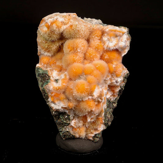 Thomsonite Orange Rare Find Natural Mineral Specimen # B 6813 Thomsonite Superb Minerals 
