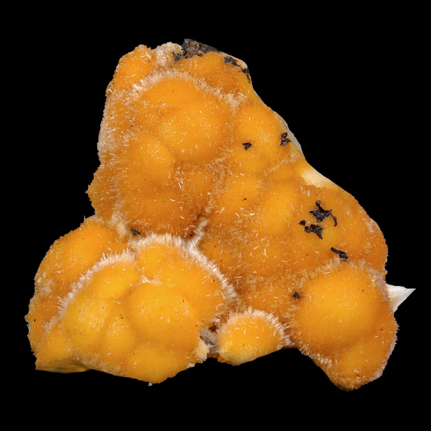 Thomsonite Orange Rare Find Natural Mineral Specimen # B 7067 Thomsonite Superb Minerals 