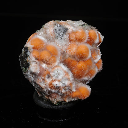 Thomsonite Orange Rare Find Natural Mineral Specimen # B 7115 Thomsonite Superb Minerals 