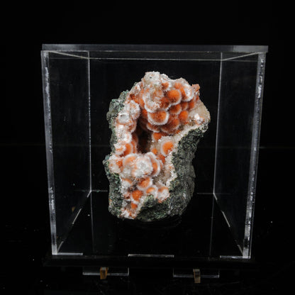 Thomsonite Orange Rare Find Natural Mineral Specimen # B 7119 Thomsonite Superb Minerals 