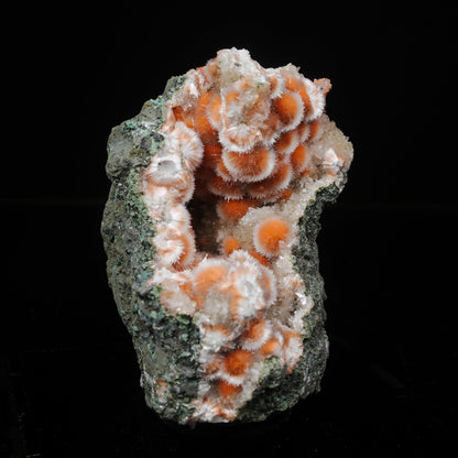Thomsonite Orange Rare Find Natural Mineral Specimen # B 7119 Thomsonite Superb Minerals 