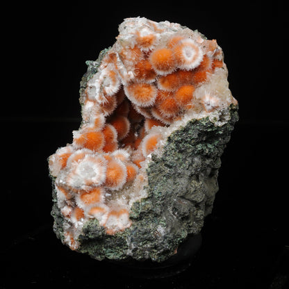 Thomsonite Orange Rare Find Natural Mineral Specimen # B 7119 Thomsonite Superb Minerals 