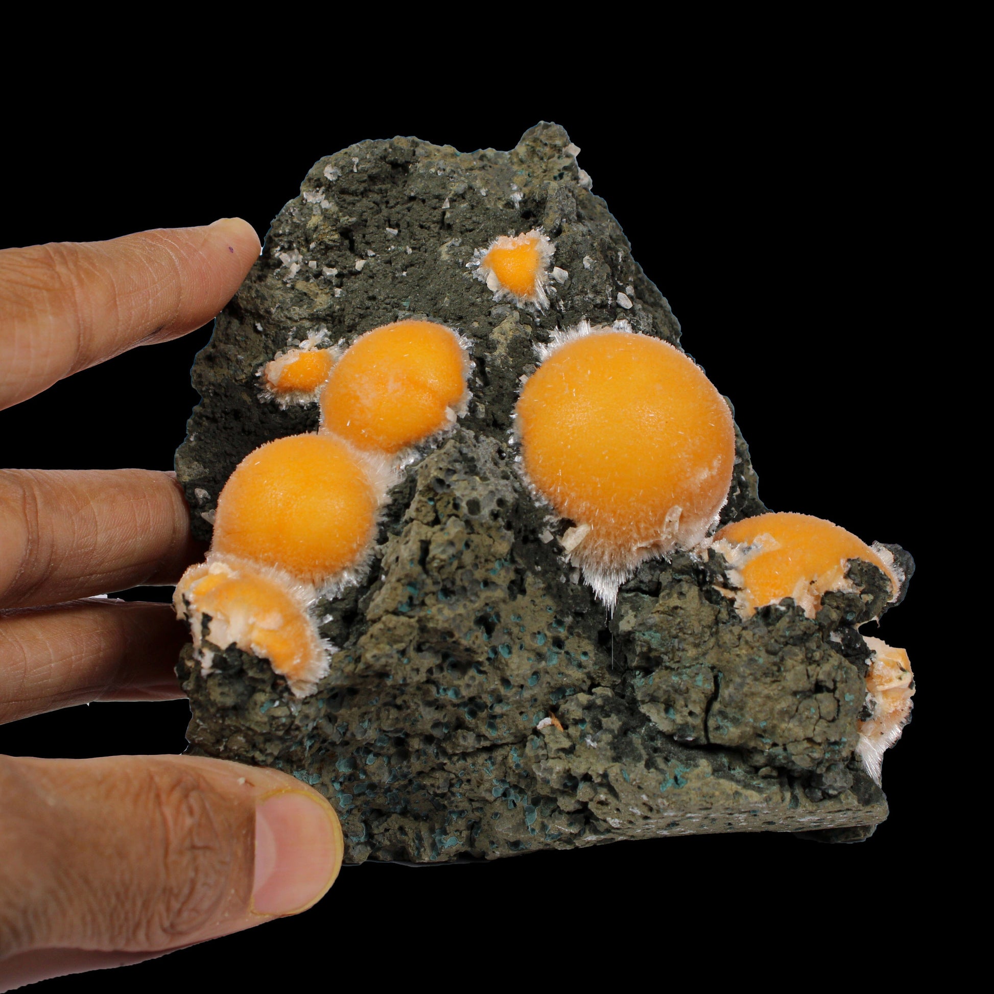 Thomsonite Orange Rare Find Natural Mineral Specimen # B 7144 Thomsonite Superb Minerals 