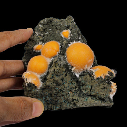 Thomsonite Orange Rare Find Natural Mineral Specimen # B 7144 Thomsonite Superb Minerals 