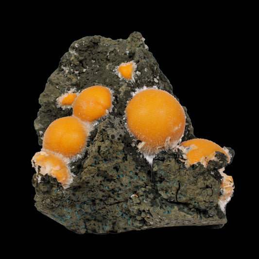 Thomsonite Orange Rare Find Natural Mineral Specimen # B 7144 Thomsonite Superb Minerals 