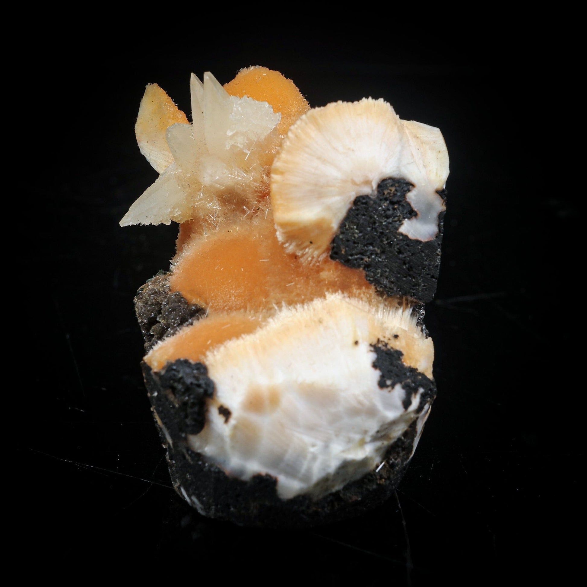 Thomsonite Orange Rare Find with Calcite Natural Mineral Specimen # B 6998 Thomsonite Superb Minerals 