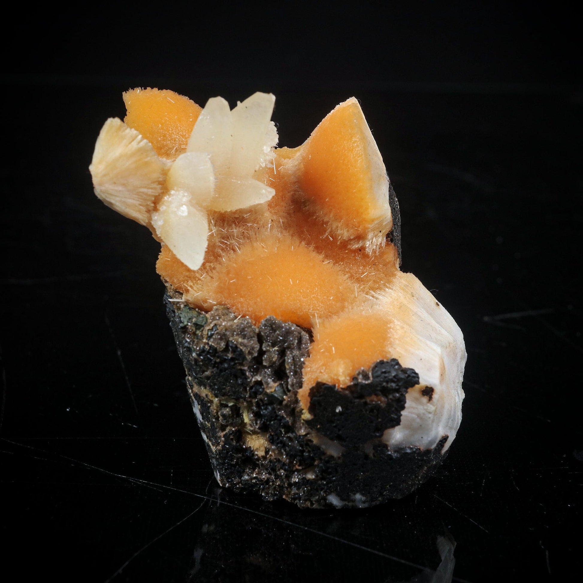 Thomsonite Orange Rare Find with Calcite Natural Mineral Specimen # B 6998 Thomsonite Superb Minerals 