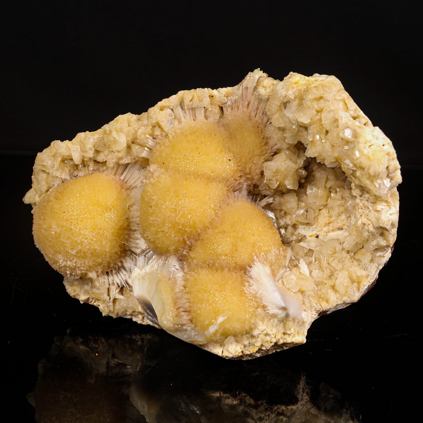 Thomsonite Rare Find Natural Mineral Specimen # B 6812 Thomsonite Superb Minerals 
