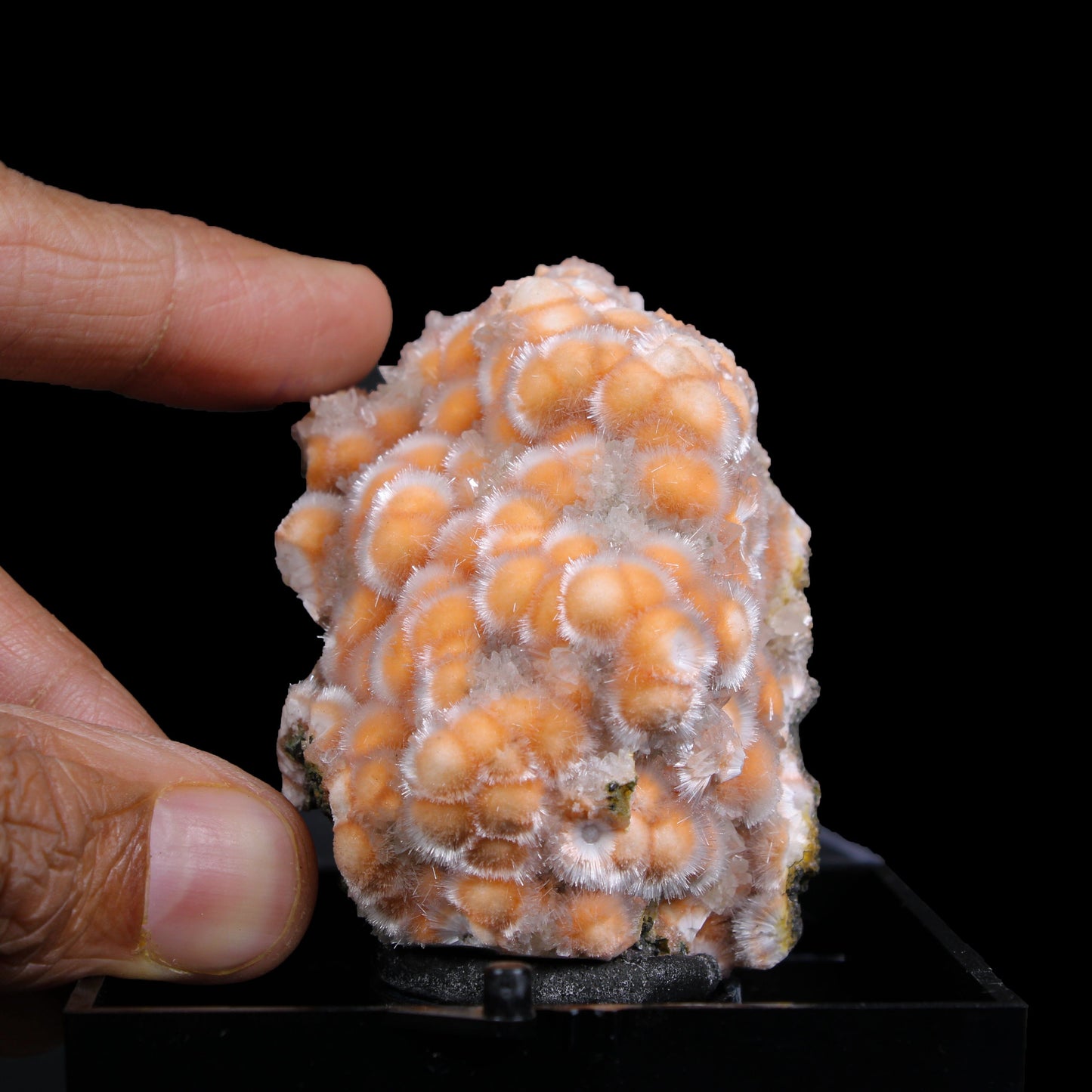Thomsonite with Mesolite Natural Mineral Specimen # B 7129 Thomsonite Superb Minerals 