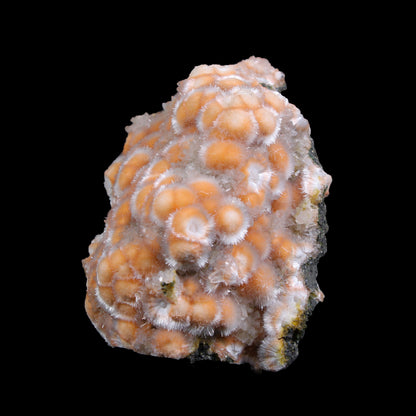 Thomsonite with Mesolite Natural Mineral Specimen # B 7129 Thomsonite Superb Minerals 