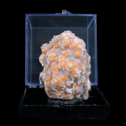 Thomsonite with Mesolite Natural Mineral Specimen # B 7129 Thomsonite Superb Minerals 