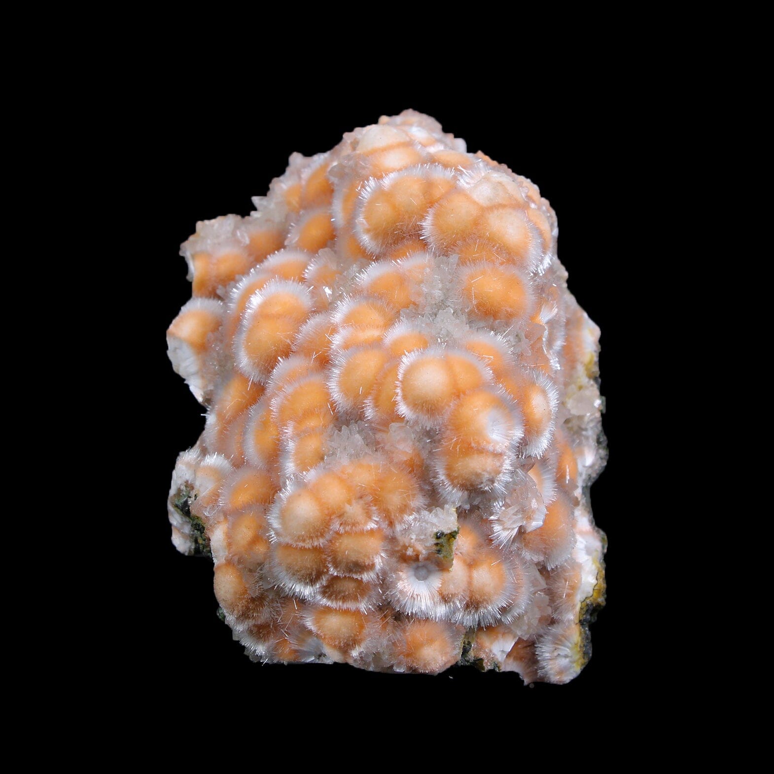 Thomsonite with Mesolite Natural Mineral Specimen # B 7129 Thomsonite Superb Minerals 