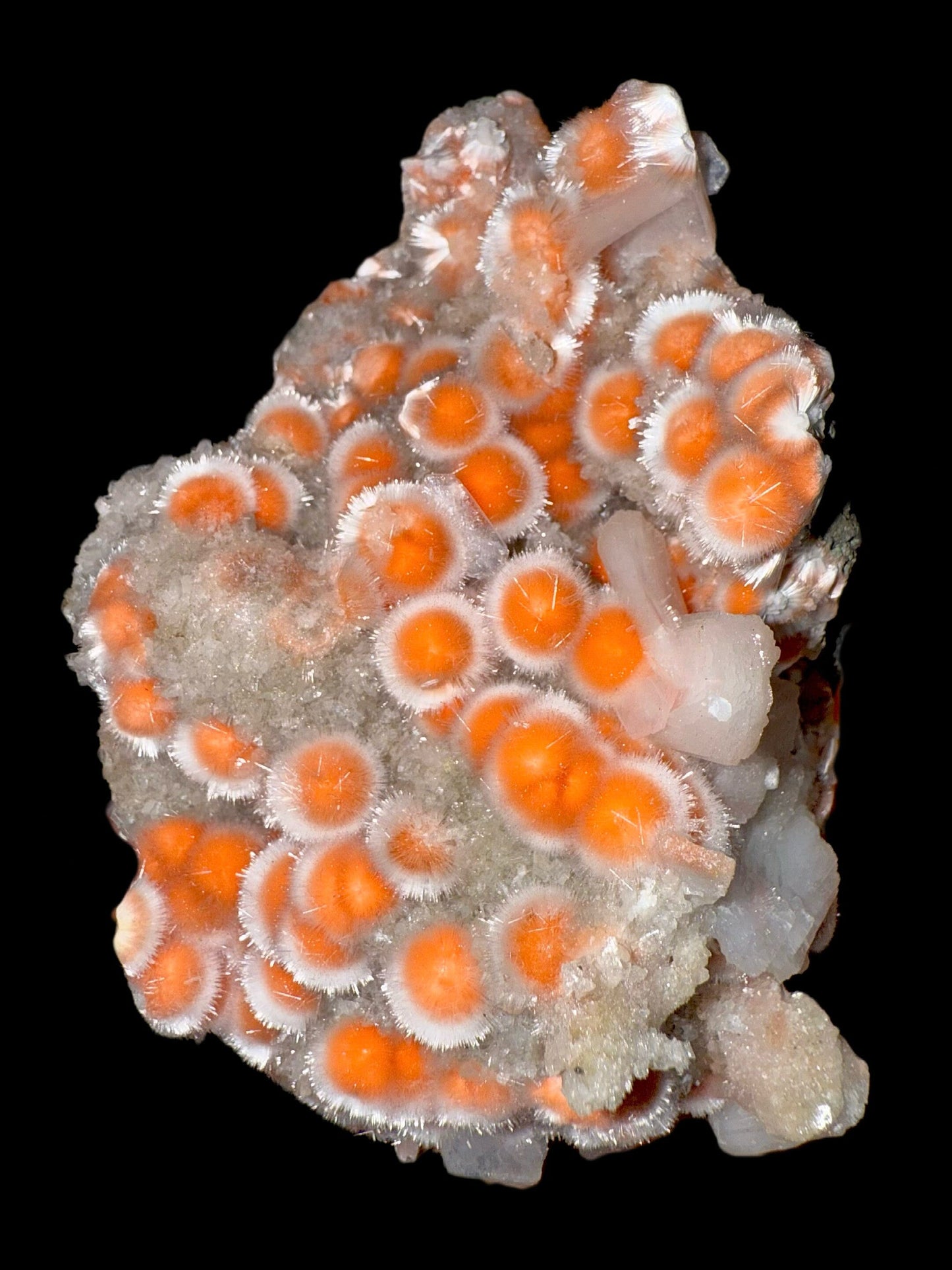 Thomsonite with Stilbite & Heulandite | SELF STANDING | High Quality Mineral | Indian Mineral | Superb Minerals | Collection Thomsonite Superb Minerals 