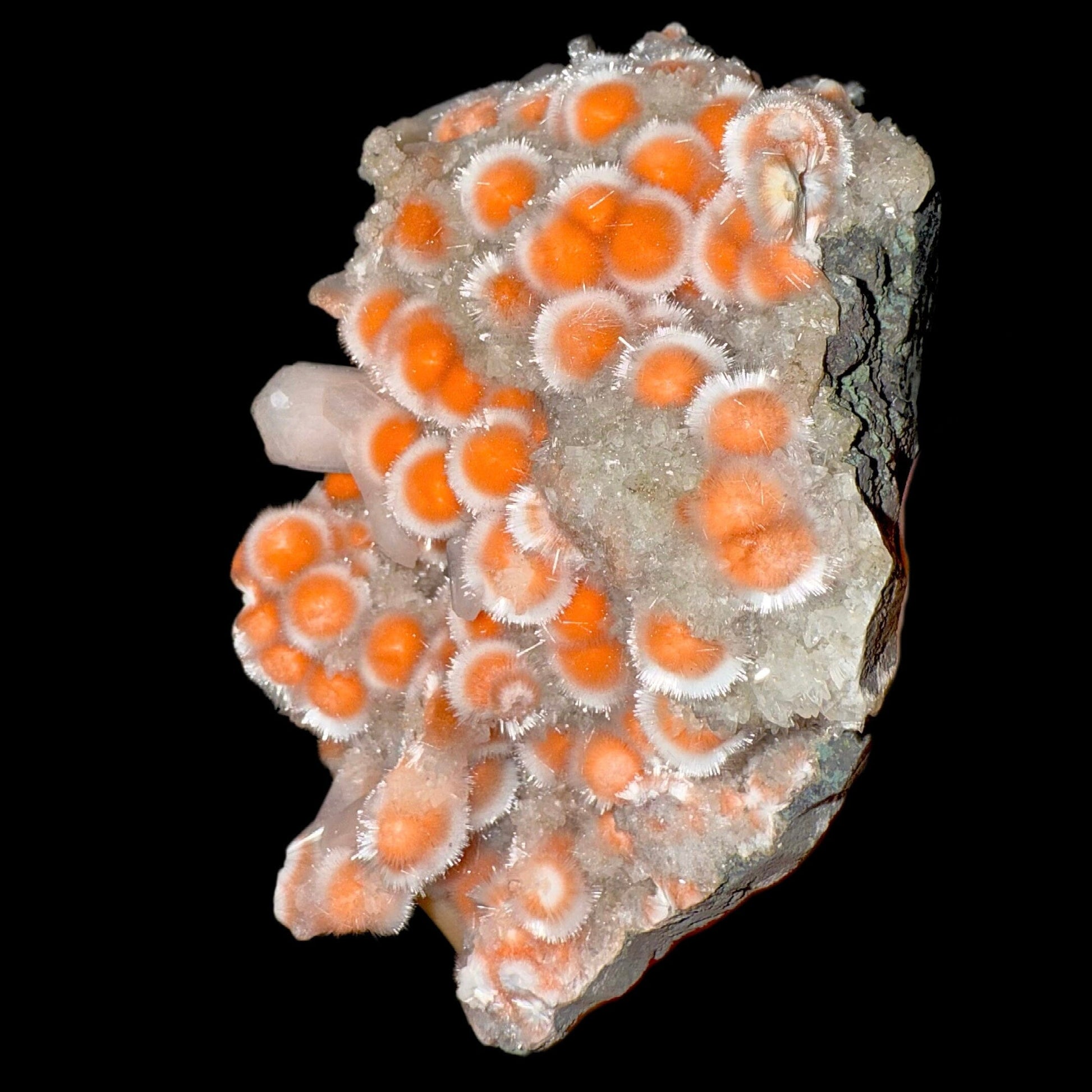 Thomsonite with Stilbite & Heulandite | SELF STANDING | High Quality Mineral | Indian Mineral | Superb Minerals | Collection Thomsonite Superb Minerals 