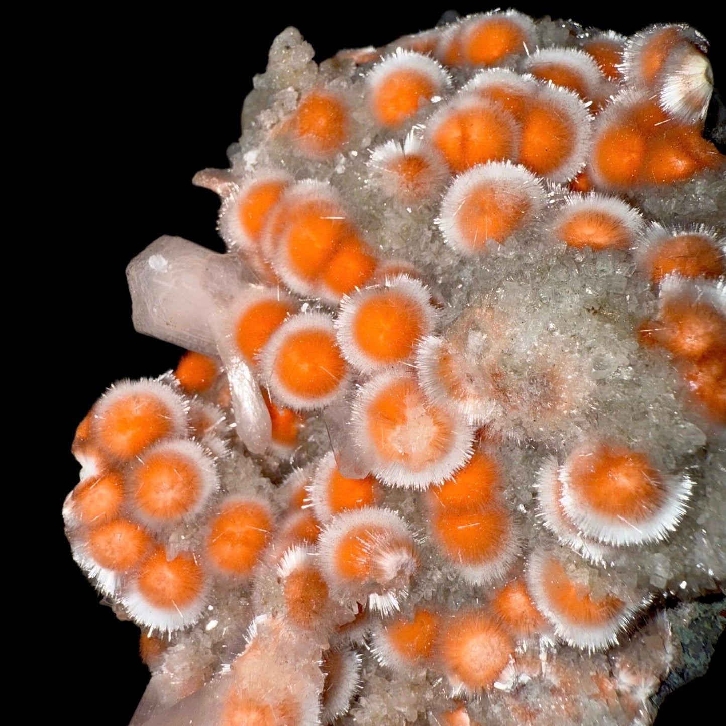 Thomsonite with Stilbite & Heulandite | SELF STANDING | High Quality Mineral | Indian Mineral | Superb Minerals | Collection Thomsonite Superb Minerals 