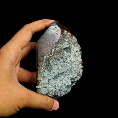 Top Quality Rare Himilayan Quartz Natural Mineral Specimen #TC24-07 QUARTZ Superb Minerals 