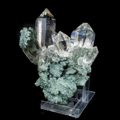 Top Quality Rare Himilayan Quartz Natural Mineral Specimen #TC24-13 QUARTZ Superb Minerals 