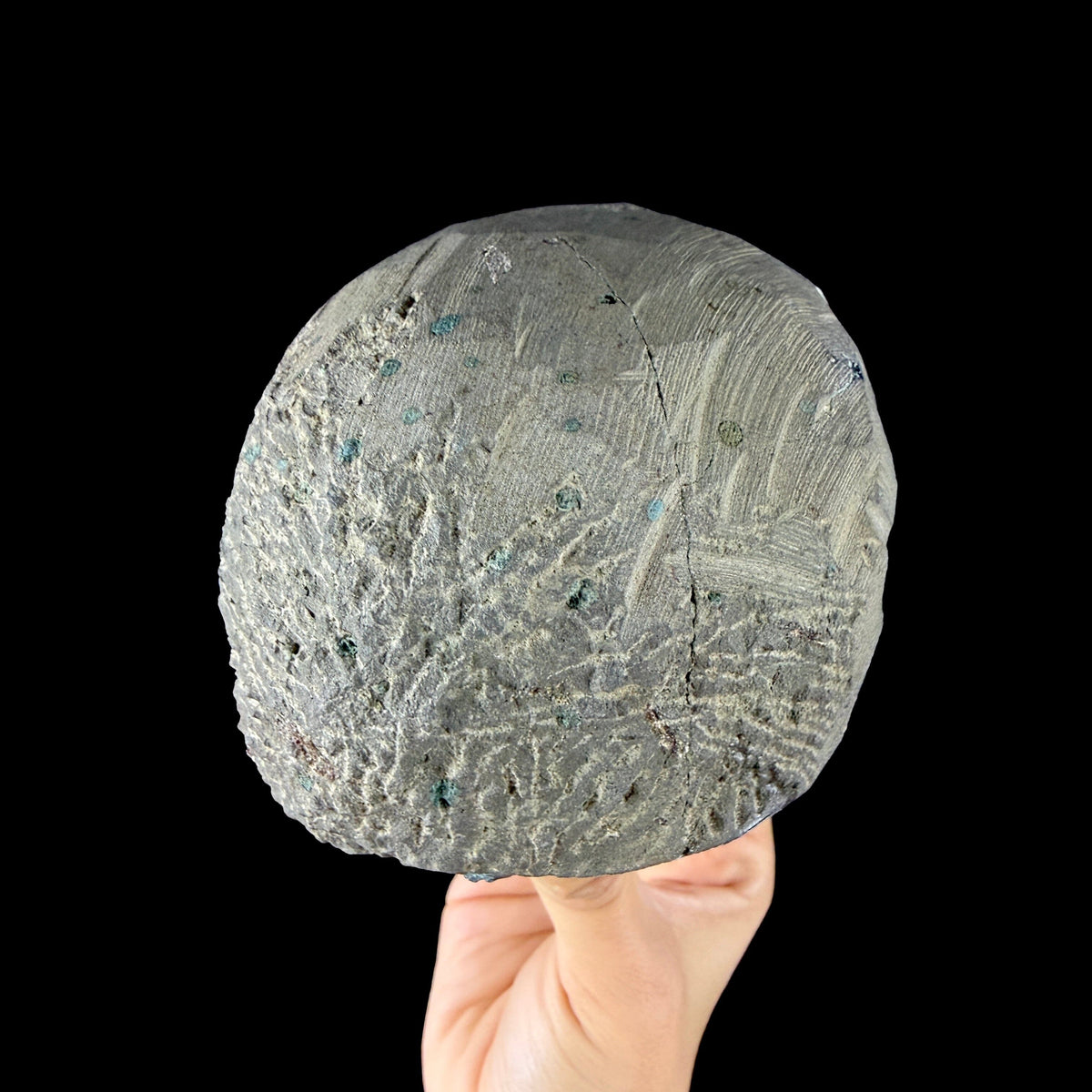 Vibrant Green Apophyllite Geode Pocket with Calcite, & Chalcedony - Collector’s Piece from Jalgaon, India # DKT167 Apophyllite Superb Minerals 