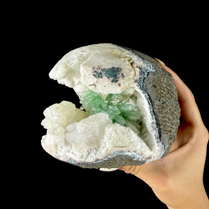 Vibrant Green Apophyllite Geode Pocket with Calcite, & Chalcedony - Collector’s Piece from Jalgaon, India # DKT167 Apophyllite Superb Minerals 