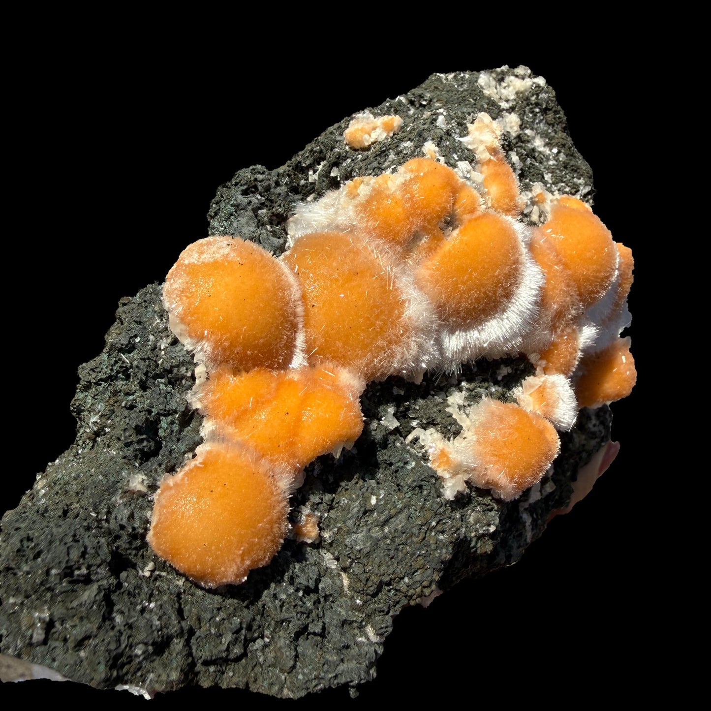 Vibrant Orange Thomsonite Balls with Needle Mesolite on Basalt Matrix – Premium Indian Mineral Specimen # DKT109 Thomsonite Superb Minerals 