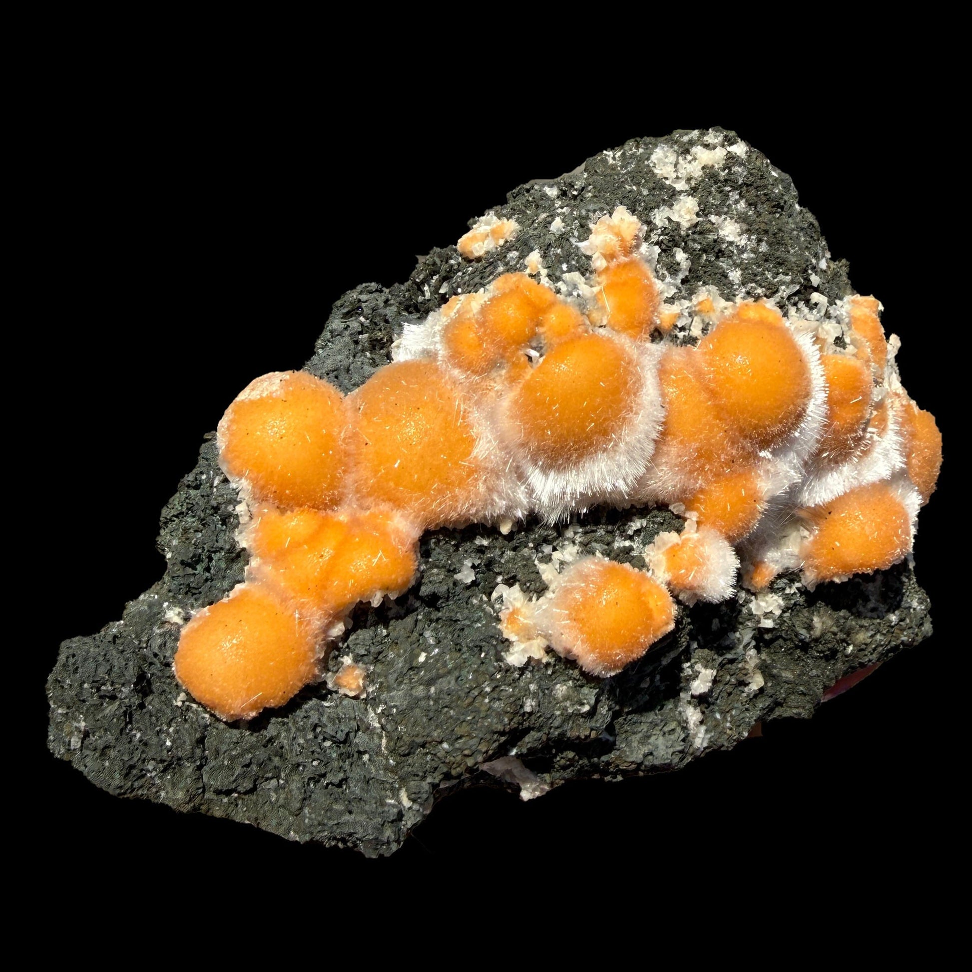 Vibrant Orange Thomsonite Balls with Needle Mesolite on Basalt Matrix – Premium Indian Mineral Specimen # DKT109 Thomsonite Superb Minerals 