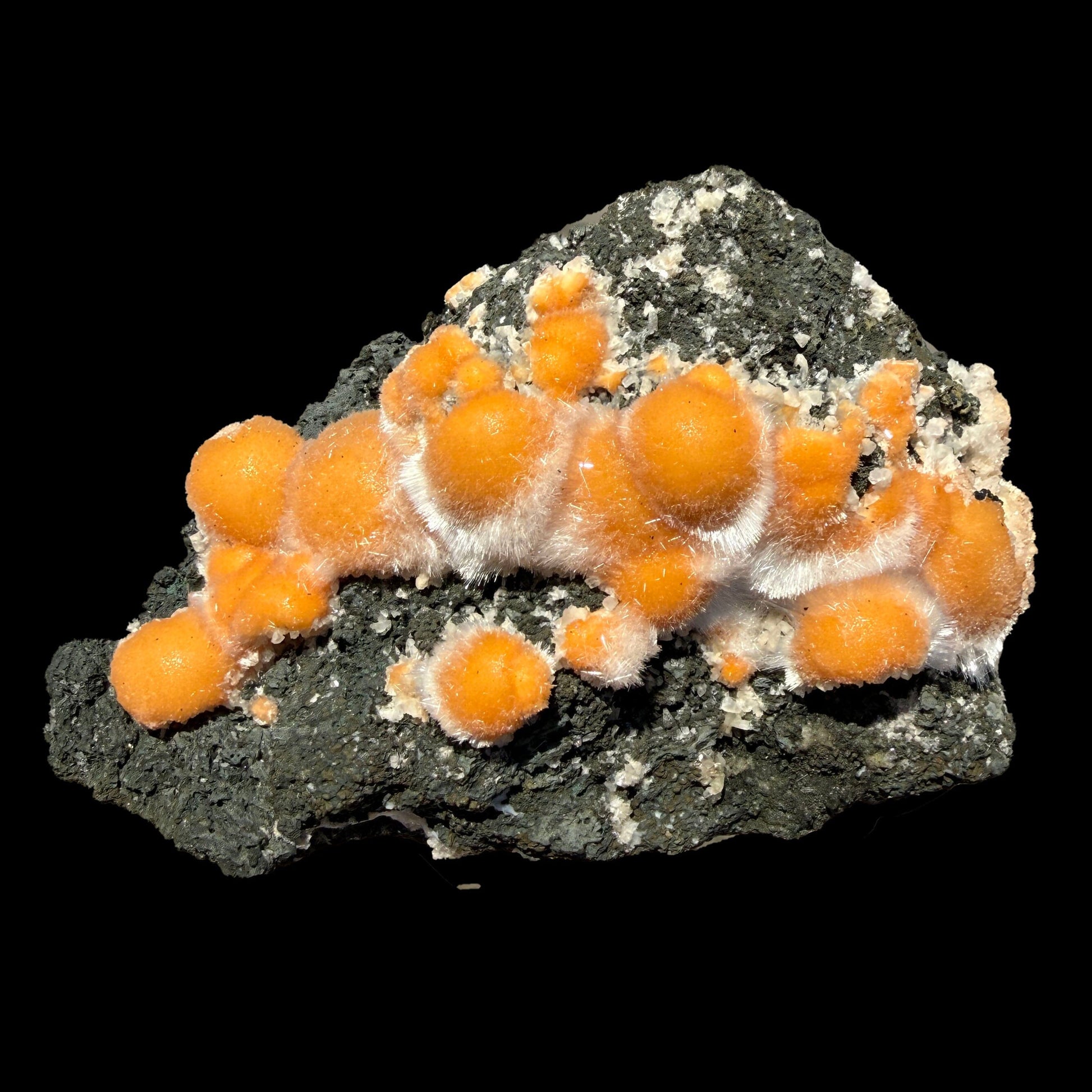 Vibrant Orange Thomsonite Balls with Needle Mesolite on Basalt Matrix – Premium Indian Mineral Specimen # DKT109 Thomsonite Superb Minerals 