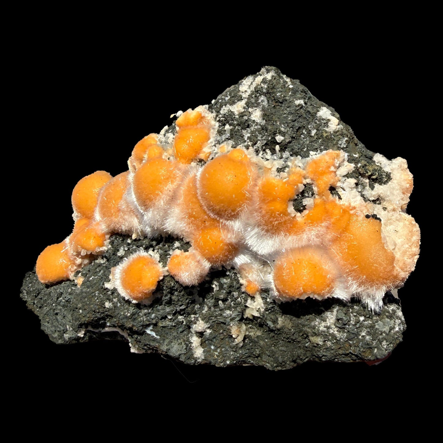 Vibrant Orange Thomsonite Balls with Needle Mesolite on Basalt Matrix – Premium Indian Mineral Specimen # DKT109 Thomsonite Superb Minerals 
