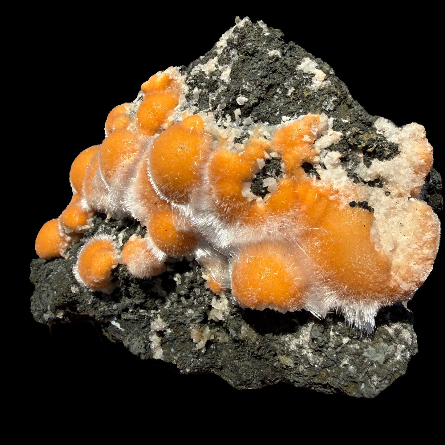 Vibrant Orange Thomsonite Balls with Needle Mesolite on Basalt Matrix – Premium Indian Mineral Specimen # DKT109 Thomsonite Superb Minerals 
