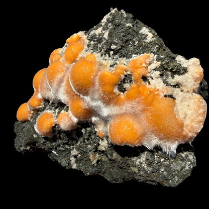 Vibrant Orange Thomsonite Balls with Needle Mesolite on Basalt Matrix – Premium Indian Mineral Specimen # DKT109 Thomsonite Superb Minerals 
