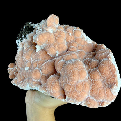 Vibrant Orange Thomsonite Spheres with White Mesolite Sprays - Collector’s Cabinet Specimen from Madhya Pradesh # DKT172 Thomsonite Superb Minerals 
