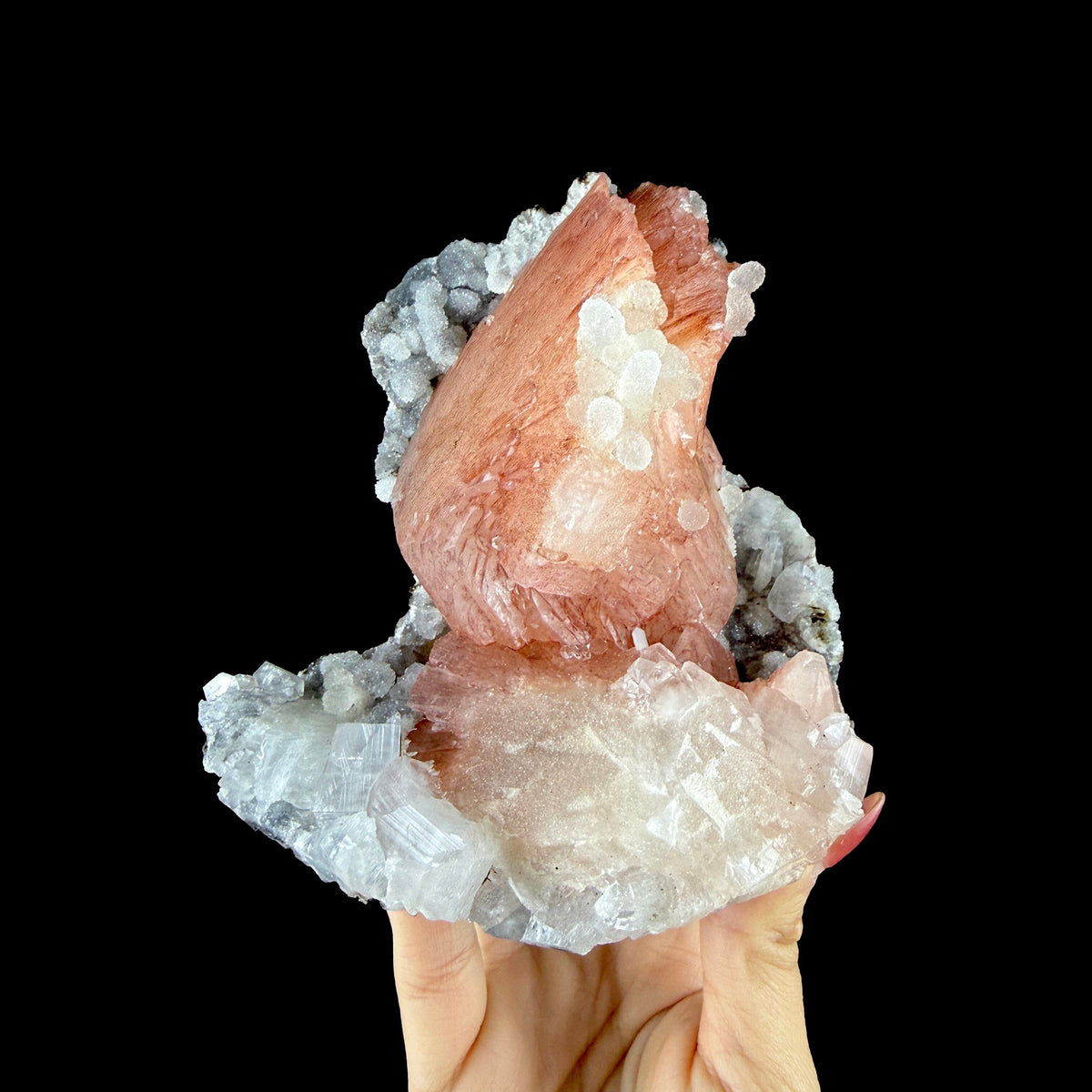 Vibrant Salmon-Pink Heulandite Bowtie Fan on Sparkling Micro-Chalcedony Matrix - Collector’s Cabinet Specimen from Jalgaon, India # DKT197 Heulandite Superb Minerals 