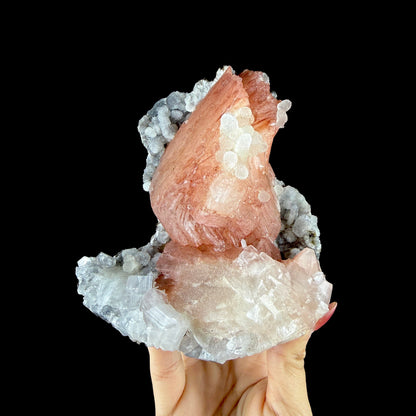 Vibrant Salmon-Pink Heulandite Bowtie Fan on Sparkling Micro-Chalcedony Matrix - Collector’s Cabinet Specimen from Jalgaon, India # DKT197 Heulandite Superb Minerals 