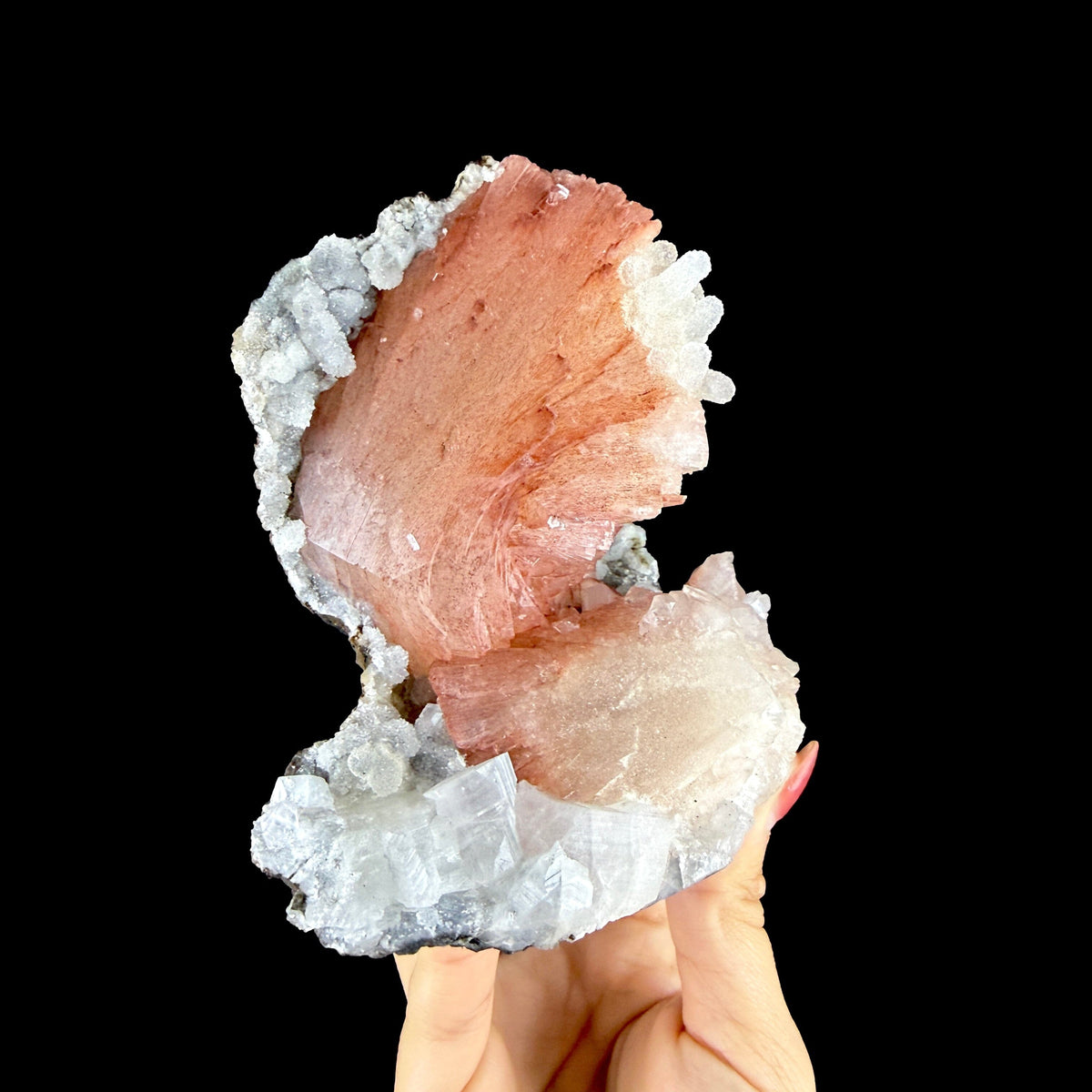 Vibrant Salmon-Pink Heulandite Bowtie Fan on Sparkling Micro-Chalcedony Matrix - Collector’s Cabinet Specimen from Jalgaon, India # DKT197 Heulandite Superb Minerals 