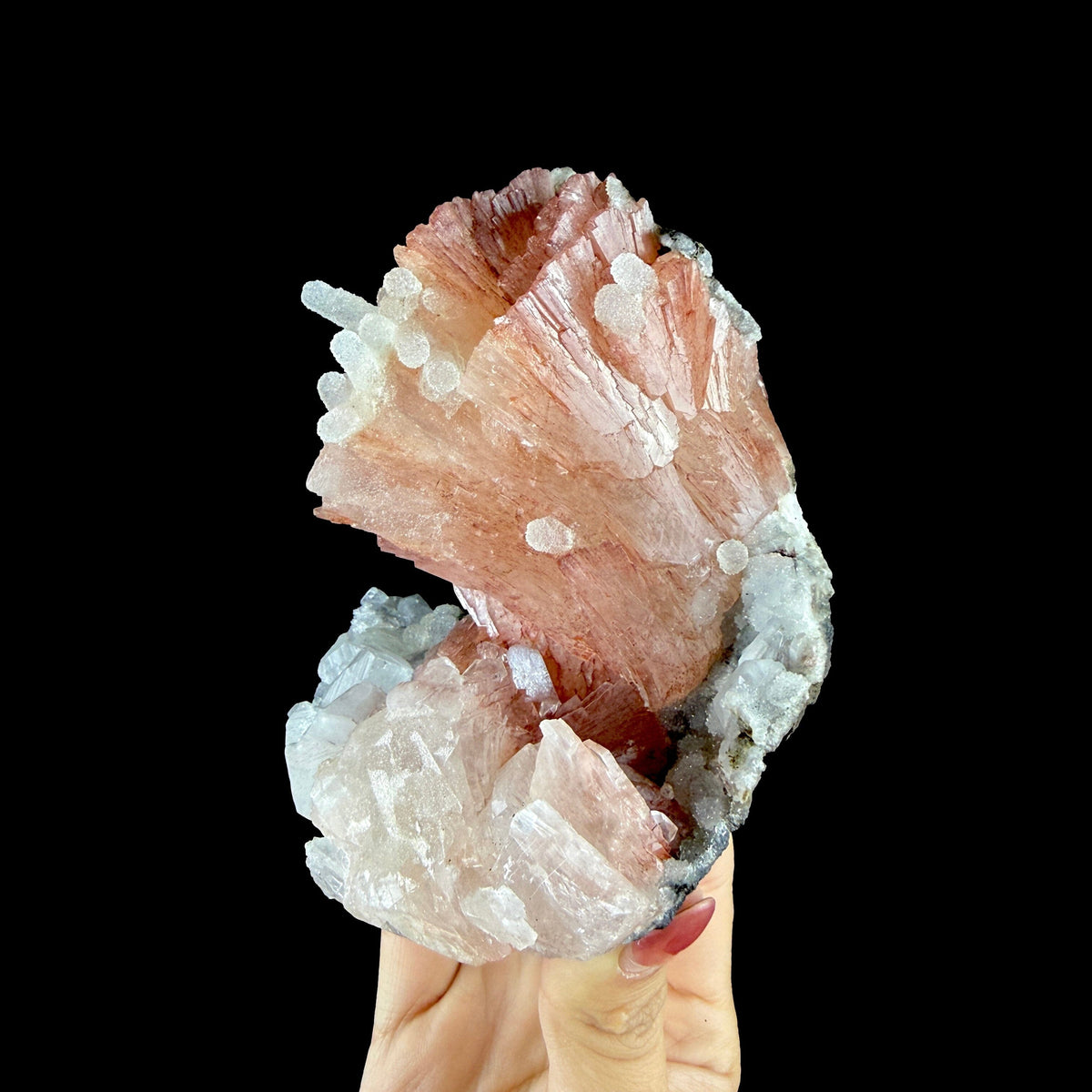 Vibrant Salmon-Pink Heulandite Bowtie Fan on Sparkling Micro-Chalcedony Matrix - Collector’s Cabinet Specimen from Jalgaon, India # DKT197 Heulandite Superb Minerals 