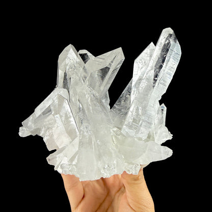 Water-Clear Himalayan Clear Quartz Crystal Cluster - Collector’s Cabinet Specimen from Himachal Pradesh, India # DKT179 Quartz Superb Minerals 