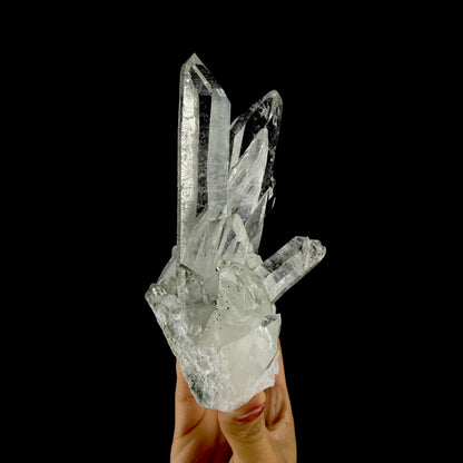 Water-Clear Himalayan Clear Quartz Crystal Cluster - Collector’s Cabinet Specimen from Himachal Pradesh, India # DKT198 Quartz Superb Minerals 