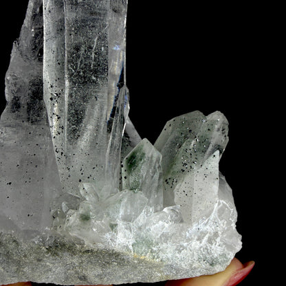 Water-Clear Himalayan Clear Quartz Crystal Cluster - Collector’s Cabinet Specimen from Himachal Pradesh, India # DKT198 Quartz Superb Minerals 