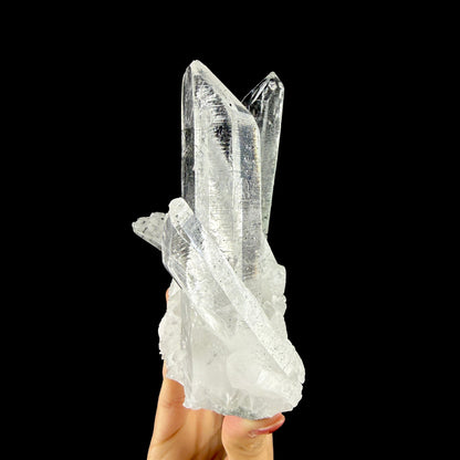 Water-Clear Himalayan Clear Quartz Crystal Cluster - Collector’s Cabinet Specimen from Himachal Pradesh, India # DKT198 Quartz Superb Minerals 