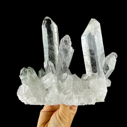 Water-Clear Himalayan Clear Quartz Crystal Cluster - Collector’s Cabinet Specimen from Himachal Pradesh, India # DKT198 Quartz Superb Minerals 