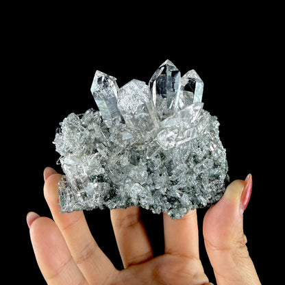 Water-Clear Quartz Crystal Cluster with Earthy Chlorite Inclusions - Collector’s Cabinet Specimen # DKT186 Quartz Superb Minerals 