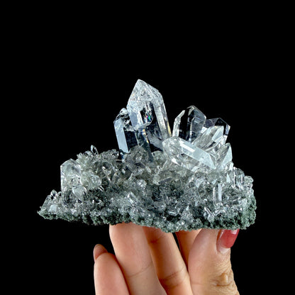 Water-Clear Quartz Crystal Cluster with Earthy Chlorite Inclusions - Collector’s Cabinet Specimen # DKT186 Quartz Superb Minerals 
