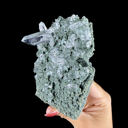 Water-Clear Quartz Crystal Cluster with Earthy Chlorite Inclusions - Collector’s Cabinet Specimen # DKT189 Quartz Superb Minerals 