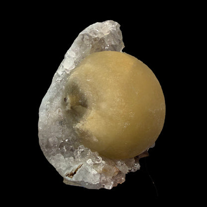 Yellow Botryoidal Fluorite on Amethyst Matrix – Indian Mineral Specimen from Madhya Pradesh # B DKT135 Fluorite Superb Minerals 