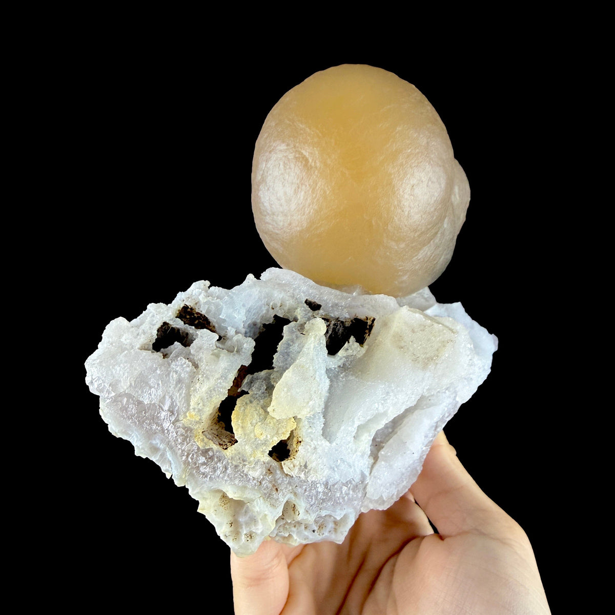 Yellow Botryoidal Fluorite on Amethyst Matrix – Indian Mineral Specimen from Madhya Pradesh # DKT194 Fluorite Superb Minerals 