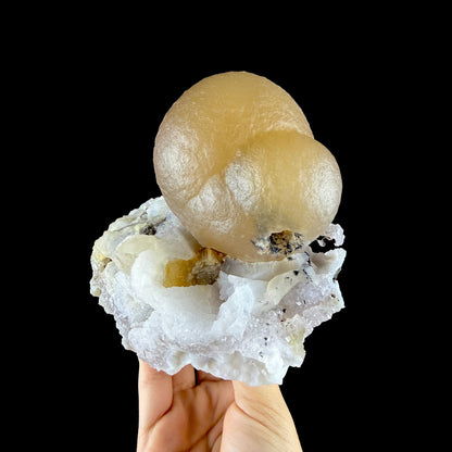 Yellow Botryoidal Fluorite on Amethyst Matrix – Indian Mineral Specimen from Madhya Pradesh # DKT194 Fluorite Superb Minerals 