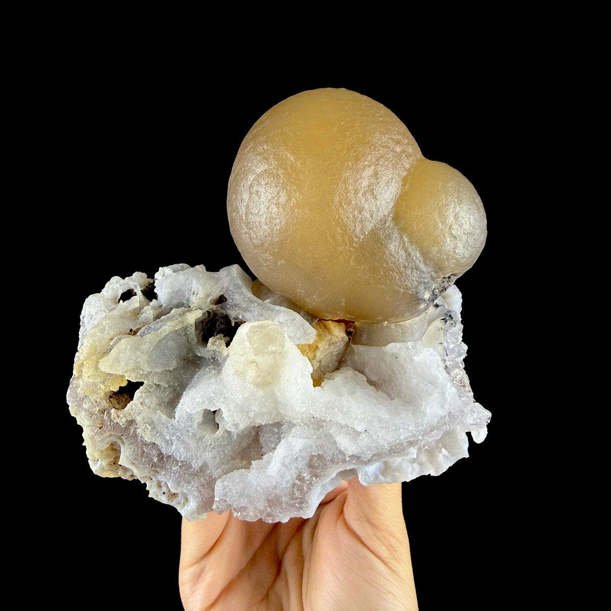 Yellow Botryoidal Fluorite on Amethyst Matrix – Indian Mineral Specimen from Madhya Pradesh # DKT194 Fluorite Superb Minerals 