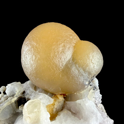 Yellow Botryoidal Fluorite on Amethyst Matrix – Indian Mineral Specimen from Madhya Pradesh # DKT194 Fluorite Superb Minerals 